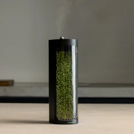 Mosslab Moss Air – Living Moss Terrarium Humidifier | Soothing Mist Fountain & Ambient Light | Zen Desk Decor, Aesthetic Room Decor | Portable & Whisper-Quiet
