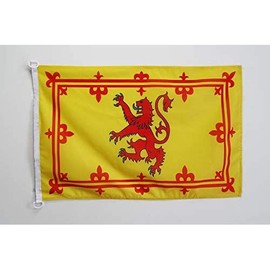 AZ FLAG - Scotland Royal Flag - 90 x 60 cm - Scottish Flag 60 x 90 cm Outdoor Use - Flags