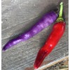 Buena Mulata Spicy Purple Pepper Premium Seed Packet