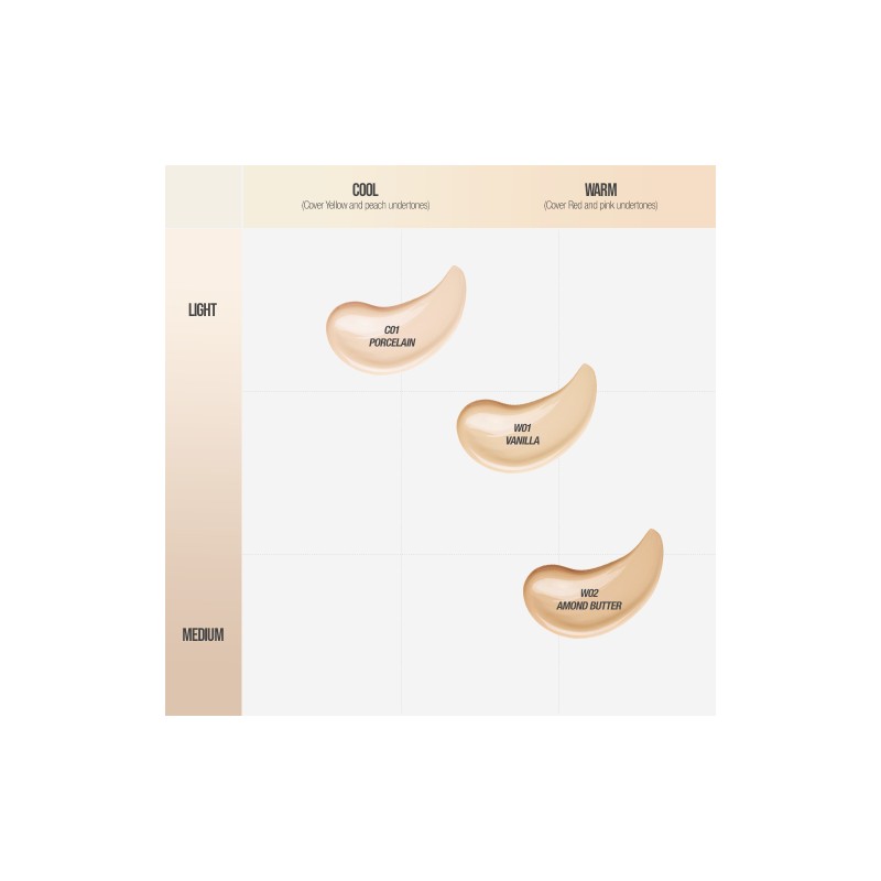 TFIT [TFIT]Signature Fit Cover Foundation #C01