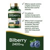 Bilberry Extract Capsules | 2400mg | 200 Count | Vegan