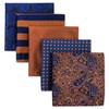 Shlax&Wing 5 Pieces Assorted Pañuelo De Bolsillo Para Hombre Handkerchiefs