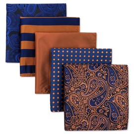 Shlax&Wing 5 Pieces Assorted Pañuelo De Bolsillo Para Hombre Handkerchiefs Set