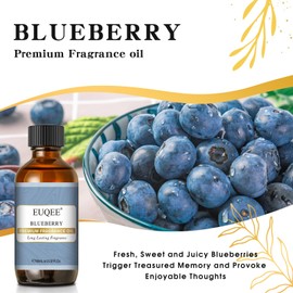 EUQEE EUQEE Blueberry Fragrance Oil, Premium Fragrance Essential Oil with Glass Dropper for Diffusers, Candle & Soap Making (2.02 Fl oz/60 ml)