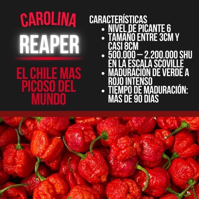 2 Salsas De Carolina Reaper, El Chile Más Picoso Del