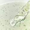 Whipped Mugtree Vegan Calming Syrup Ampoule 30ml - Whipped Mugtree