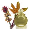 manelya Castor Oil with Eyelash Applicator 10ml