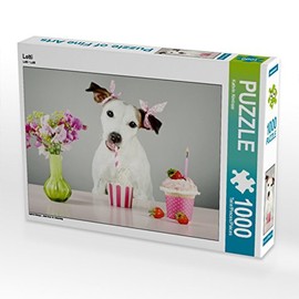 Premium Textile Canvas 45 x 30 cm art