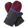 pistil Estes Mitten, Carbón, Talla Única