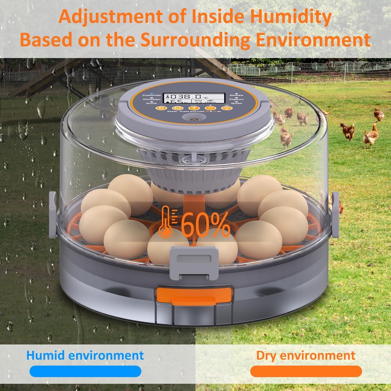 Egg Incubator with Automatic Egg Turning and Humidity Control, Intelligent