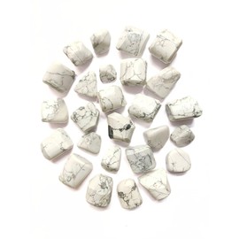 Prajet Crystal Natural Howlite Tumbled Stones 100 Grams White Howlite Gemstone Polished Natural for Meditation Décor Collection Gift