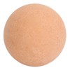 Oil Absorbing Face Roller for Oily Skin Care Egg Shape