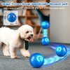 2025 New Shaky Ball Toy for Pet, Interactive Dog Bouncing