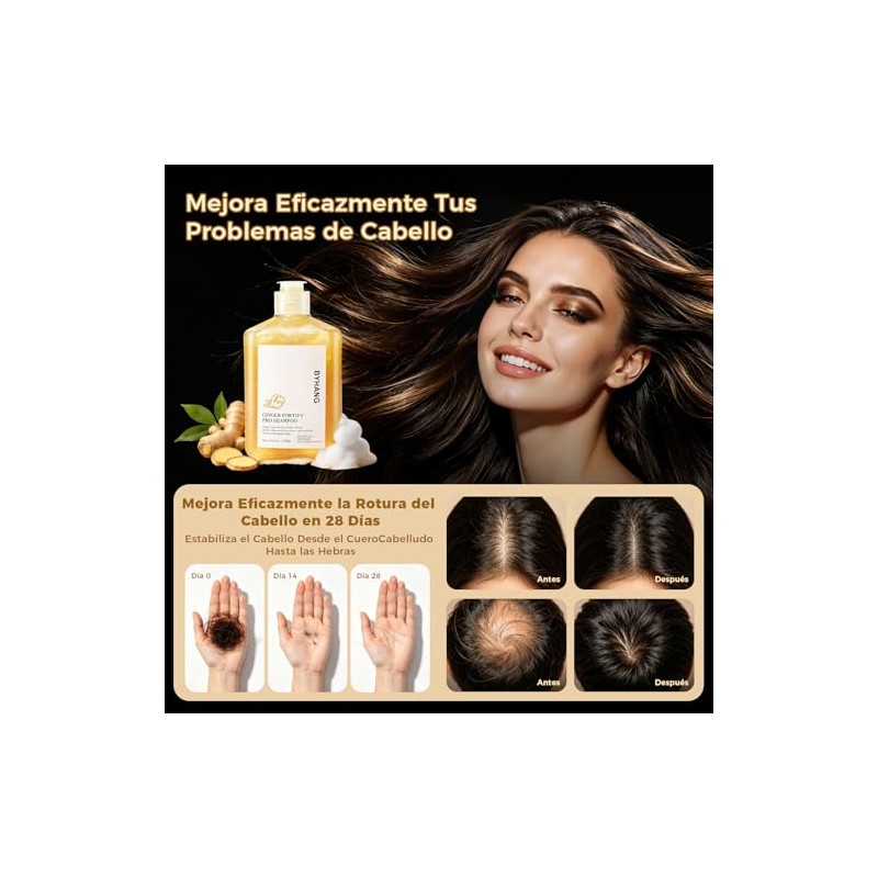 Shampoo Jengibre para Cabello Graso - Cuero Cabelludo Fresco, Control