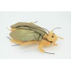 Collectible Wildlife Gifts Toy Plushy Cockroach, Stuffed Bug, Plush Roach