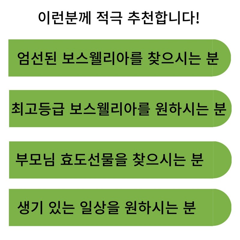 Top grade Triple Up Boswellia 3 months supply / 최고등급