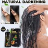 Cosmpro Black Hair Dye Shampoo for Women Men 3 in