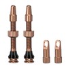 HZJD Pack of 2 Presta Tubeless Valves, Desert, Tubeless Stem,