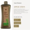 Salerm Biokera Natura Argan Shampoo, 36.0 Ounce/1000 ml