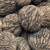 5 Black Walnut Tree Seeds , Juglans Nigra - Northern
