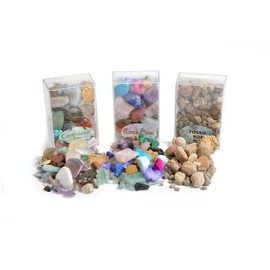 Fossil, Rock and Gemstone Box Collection. Set of 3 Boxes