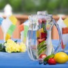 Large Fruit Infuser Water Pitcher (2.9 Quart / 93 Oz)