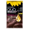 Garnier Olia Glow Permanent Hair Colour, Ammonia Free, Natural Flower
