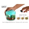 Ganesh Chopper Vegetable Cutter, Pool Green (725 ml)