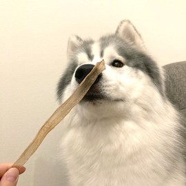 Petio New Green NU-GREEN Completely Additive-Free Duck Fiber Stick, Long Type, 0.7 oz (20 g)