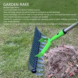 Thatch Rake, 12.8 Inch Dethatcher Rake for Lawn, Stainless Steel Dethatcher Rake Wide Lawn Grooming Tool for Dead Grass Loosening Soil Leveling Lawn