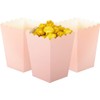 We Moment Zone 24pcs Pink Popcorn Boxes Mini Paper Popcorn