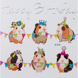 Paperlink General Female Birthday Card for Women/Girls - Guinea Pig Party with Silver Embossed Foil - Eco-Friendly & Recyclable