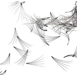 Premade Fans Eyelashes Loose Lashes Premade 5D Fan/curl/Thickness 0.07 mm/Eyelash Extension Volume Lash Fans (1000Fans, 13)