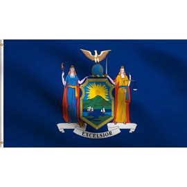 DMSE New York State Flag 2X3 Ft Foot 100% Polyester 100D Flag UV Resistant (2' X 3' Ft Foot)