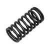 DT Spare Parts 1.10005 Valve Spring (Pack of 2)