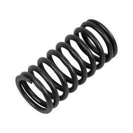 DT Spare Parts 1.10005 Valve Spring (Pack of 2)