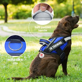Service Dog Vest+Service Dog Tag+6 Patches, Bestalk Lightweight in Training Dog Harness, Reflective Do Not Pet Dog Vests with Soft Padded Handle for Small, Medium, Large Dogs