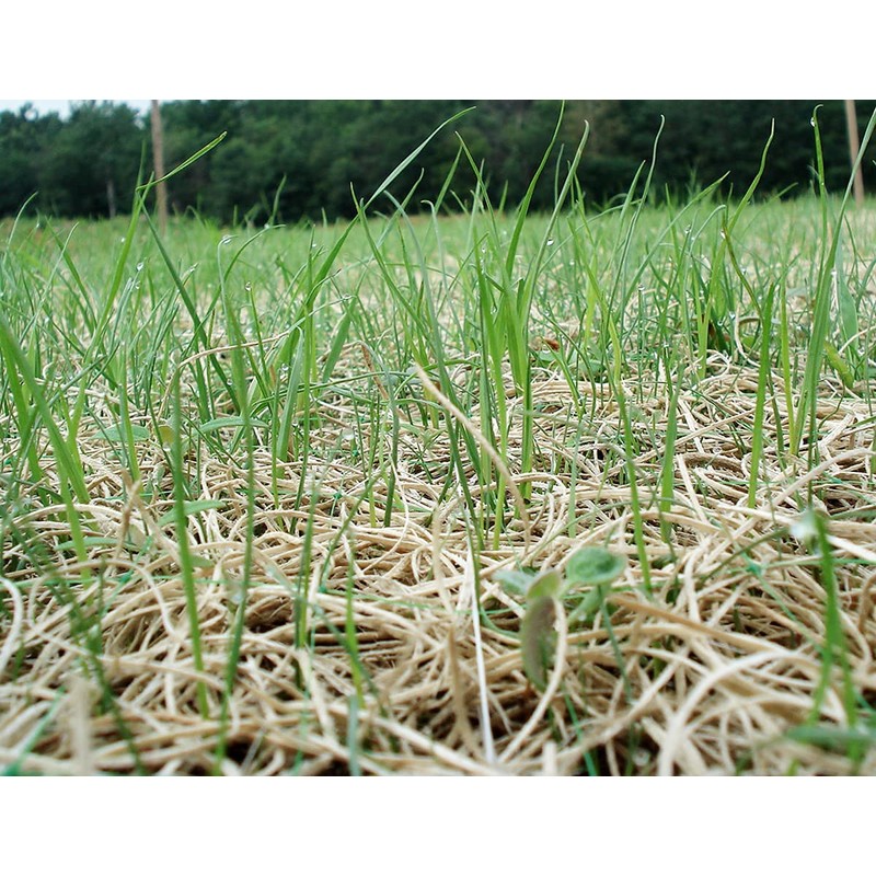 American Excelsior QuickGrass Pro Erosion Control Blanket Landscape Roll -