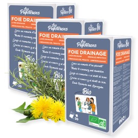 LES PAPOTEUSES | Bio-Leber-Drainage-Aufguss mit Rosmarin und Löwenzahn | 60 Teebeutel | Infusionsset mit 3 Schachteln mit 20 Beuteln | Zertifiziert biologisch