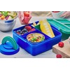 Avanti YumYum Kids Bento Lunch Box with Insulated Food Jar,