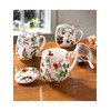 Könitz Tea for You - My Favourite Tea - Fruits