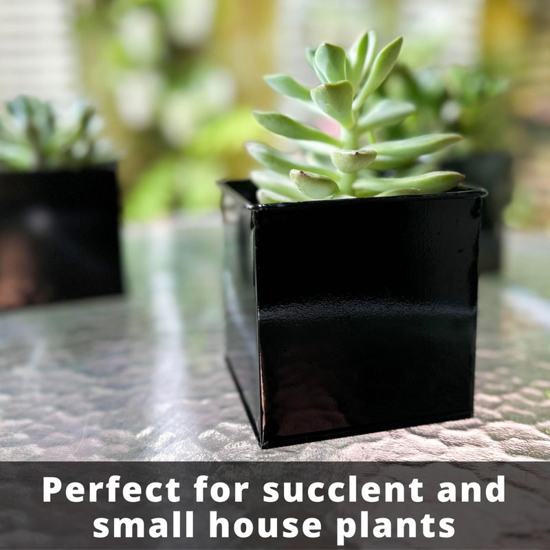 LaLaGreen Wall Planter - 6 Pack, 4 Inch Square Metal