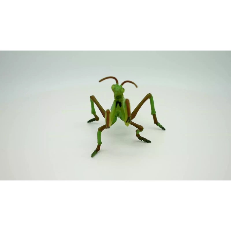 Papo Praying Mantis Model, Museum Quality Rubber Replica, Hand Painted