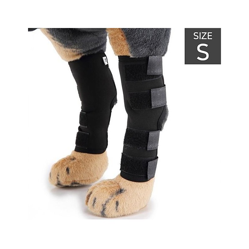 Fitness Accessory Brace Support Set Pack 2 Pack for home