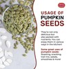 Raw Pumpkin Seeds 2 LB Bag - Shelled, AAA Grade,