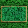 ZUZGO Moss Preserved Decorative Moss for Crafts Moss Picture Model