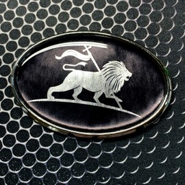 Lion of Judah Metallic Chrome Oval Emblem Car Domed Sticker 3D 3.25"x 2.25" Jewish, Rasta