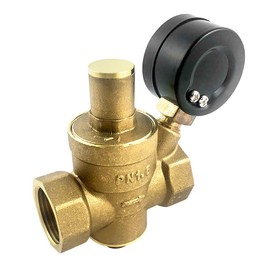 QWORK® DN20 Brass Water Pressure Regulator with Pressure Regulator Pressure Gauge