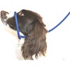 Dog & Field Figure 8 Anti Pull Leash/Halter/Head Collar - One Size Fits All - Super Soft Braided Nylon - Fitting Instructions Included - Comfortable, Kind, Supple, Secure No More Pulling! (Blue)