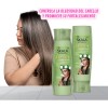 Kit Shampoo+acond Y Mascarilla Skala Jaborandi Cabello Graso